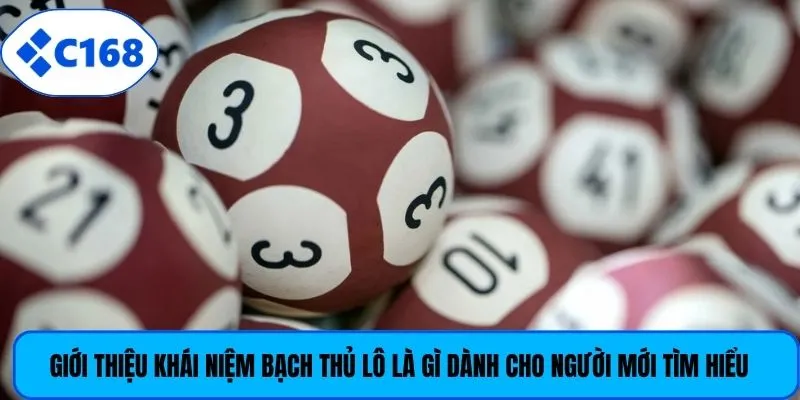 Giới thiệu khái niệm bạch thủ lô là gì dành cho người mới tìm hiểu