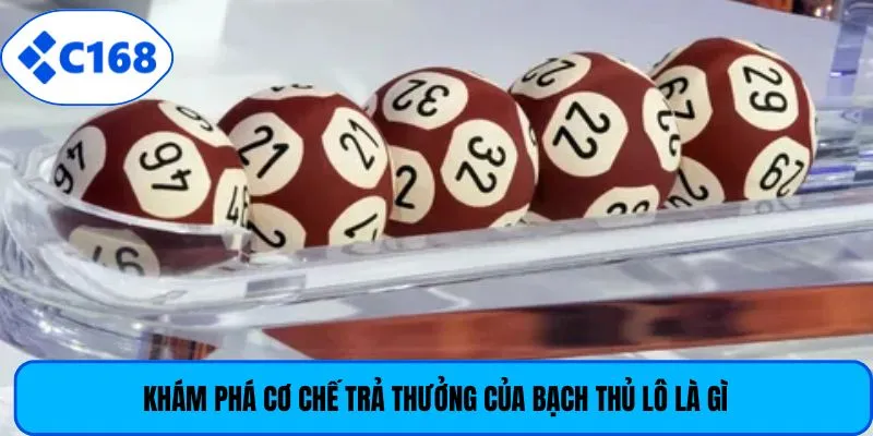 Khám phá cơ chế trả thưởng của bạch thủ lô là gì