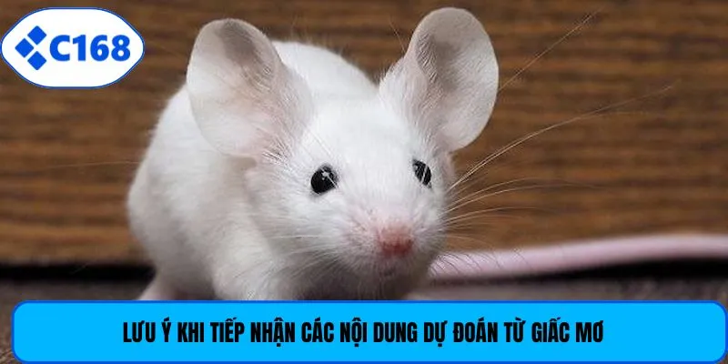 Lưu ý khi tiếp nhận các nội dung dự đoán từ giấc mơ