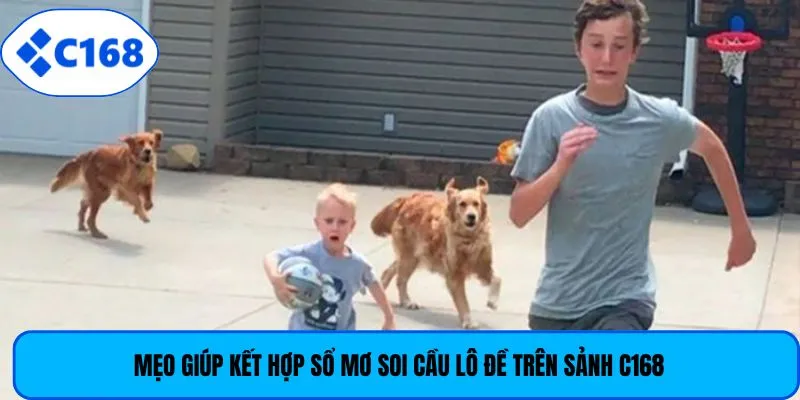 Mẹo giúp kết hợp sổ mơ soi cầu lô đề trên sảnh C168
