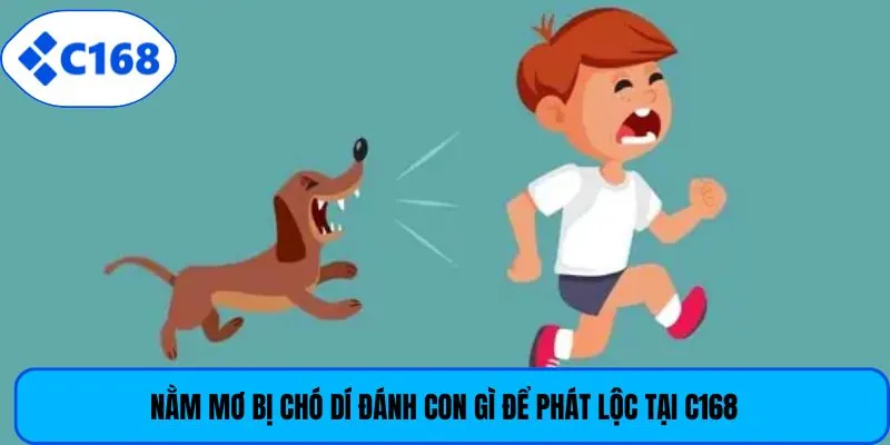 Nằm mơ bị chó dí đánh con gì để phát lộc tại C168