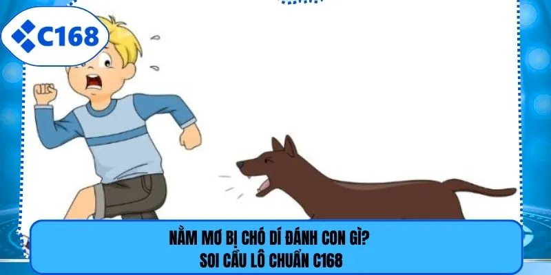 Nằm Mơ Bị Chó Dí Đánh Con Gì? Soi Cầu Lô Chuẩn C168