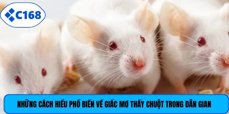 Những cách hiểu phổ biến về giấc mơ thấy chuột trong dân gian