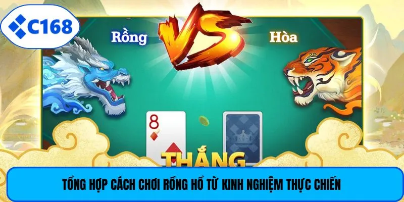 Tổng hợp cách chơi Rồng Hổ từ kinh nghiệm thực chiến